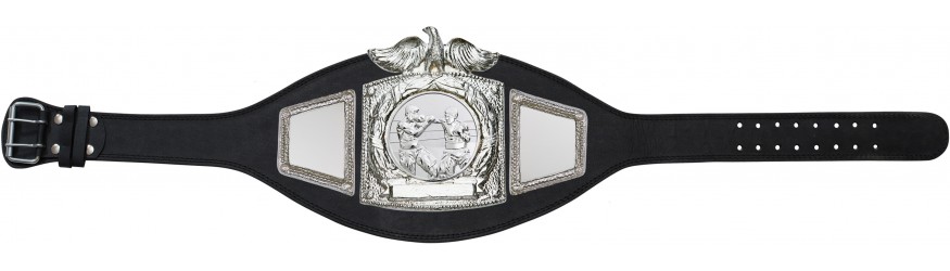 PLTEAGLE BOXING CHAMPIONSHIP BELT - PLTEAGLE/S/BOXS -  AVAILABLE IN 6+ COLOURS 